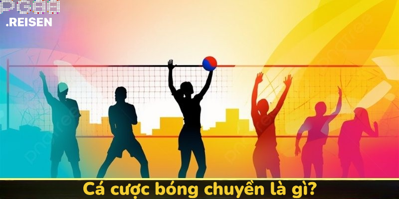 Cá cược bóng chuyền là gì ?