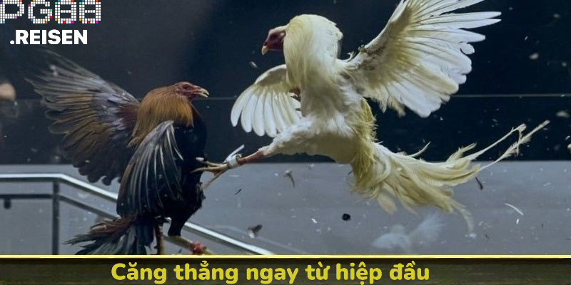 Căng thẳng ngay từ hiệp đấu đầu tiên