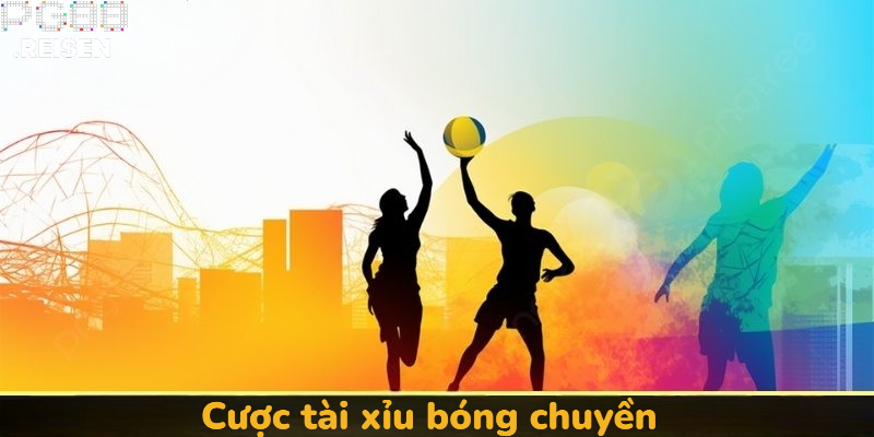 Cược tài xỉu bóng chuyền