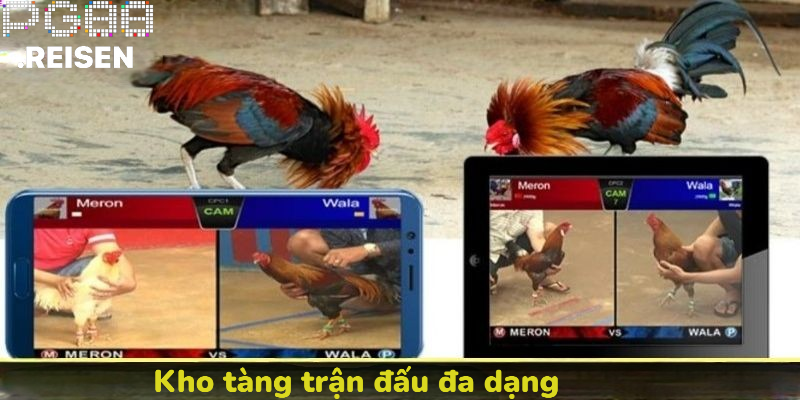 Kho tàng trận đấu đa dạng