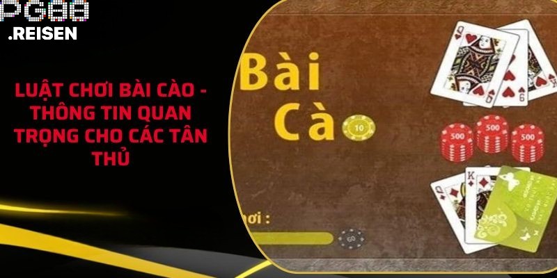 Luật Chơi Bài Cào Tại nhà cái PG88