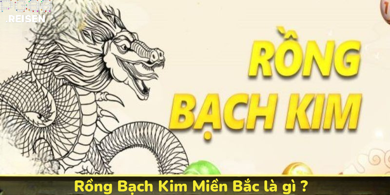 Rồng Bạch Kim miền Bắc là gì ?