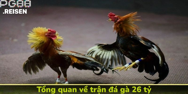 Tổng quan về trận đá gà 26 tỷ